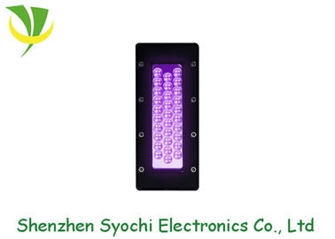 Luce UV d'emissione porpora per stampa dello schermo, luce UV di colore LED del LED che cura sistema